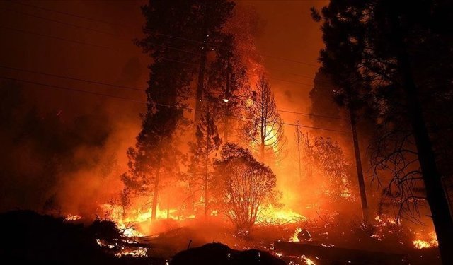 ABD'deki orman yangınlarında 120'den fazla ev kül oldu