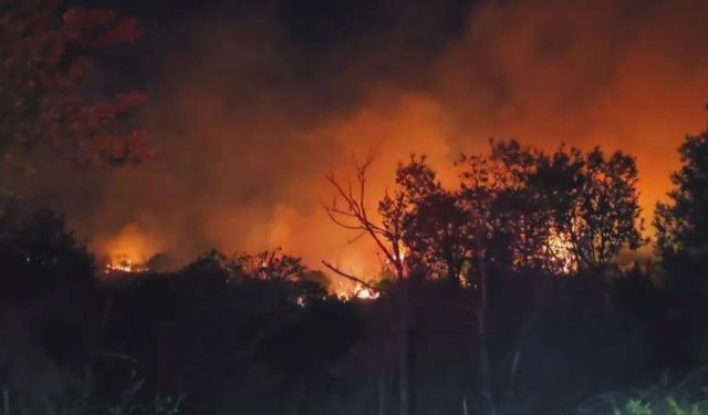 Beykoz'da ormanlık alanda yangın!