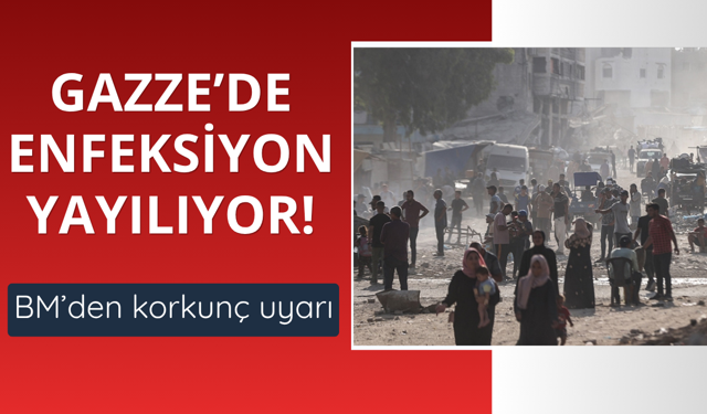 Gazze'de enfeksiyon ve haşerelerde artış