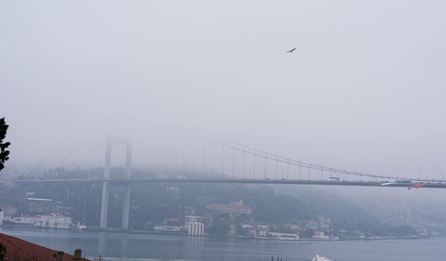 İstanbul'da yoğun sis: Boğaz trafiği durdu