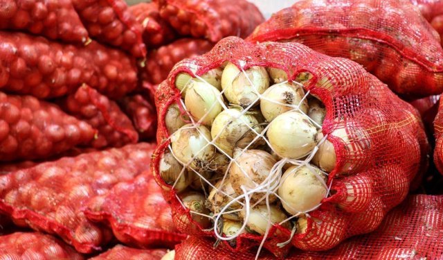 Kuru soğan ihracatı yıla hızlı başladı