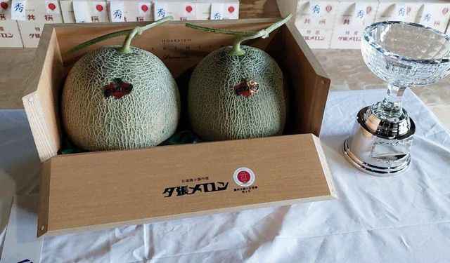 Kavun açık arttırmada yaklaşık 36 bin 500 dolara satıldı
