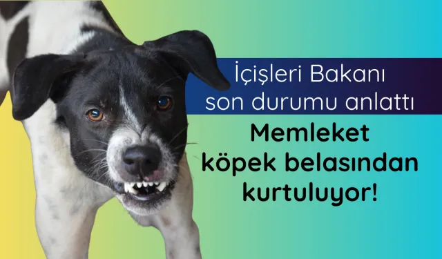 Bakan Çiftçi'den başıboş köpekler hakkında açıklama