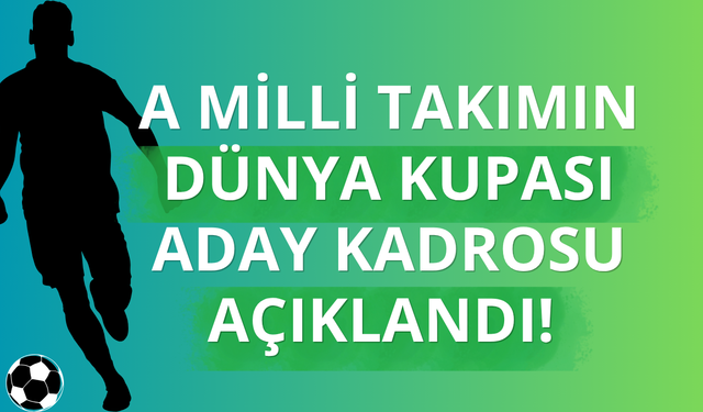 A Milli Takım'ın geniş aday kadrosu açıklandı!