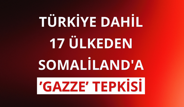 Türkiye dahil 17 ülkeden Somaliland'a Gazze tepkisi