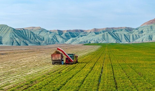 Ankara ve Aydın'da arazi toplulaştırma çalışmaları yapılacak