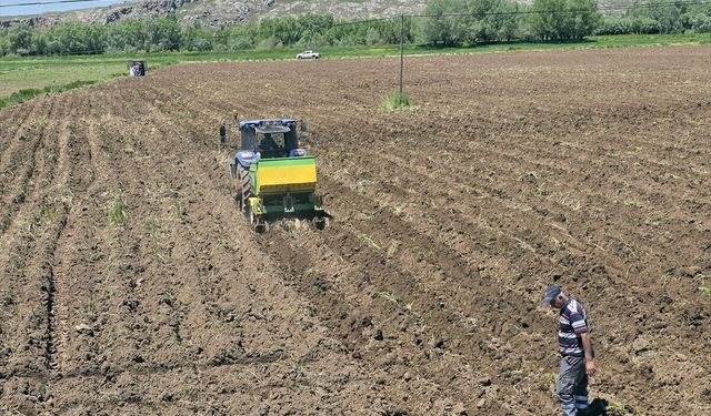 Sivas'ta sulu tarım yeniden başladı