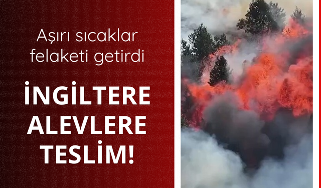 Aşırı sıcaklar felaketi getirdi! İngiltere alevlere teslim
