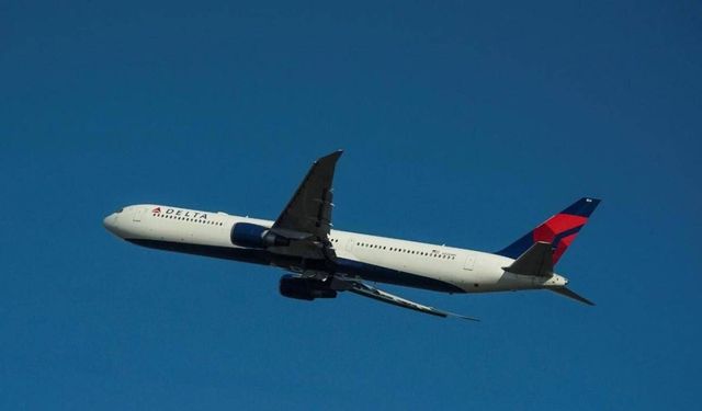 Delta uçağına havai fişek isabet etti