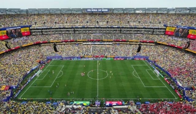 FIFA, Dünya Kupası finali çimlerini satışa çıkarıyor