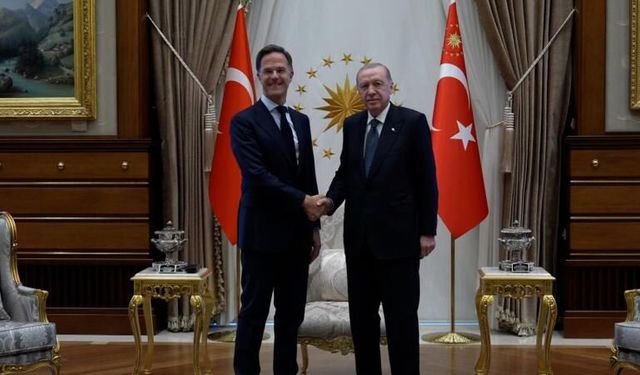 Erdoğan Rutte'yi kabul etti