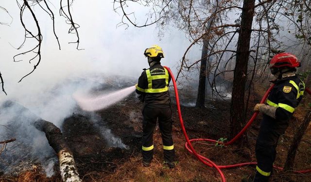 Fransa'nın yangınlarla mücadelesi sürüyor