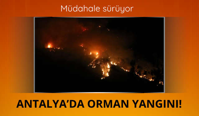 Antalya'da orman yangını sürüyor