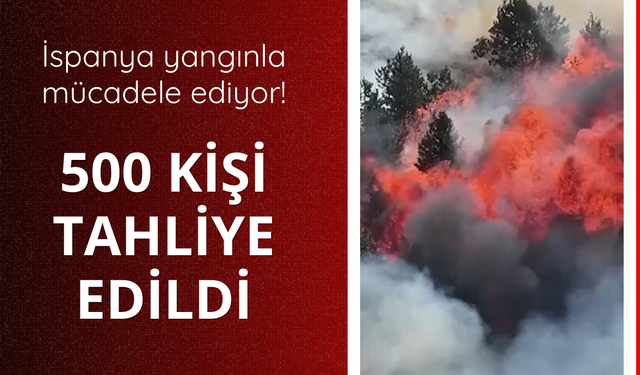 İspanya yangınla mücadele ediyor! 500 kişi tahliye edildi