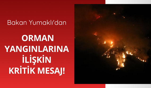 Bakan Yumaklı'dan orman yangınlarına ilişkin açıklama