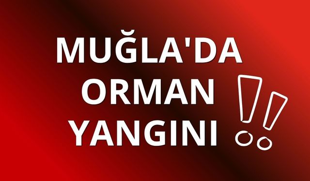 Muğla'da orman yangını