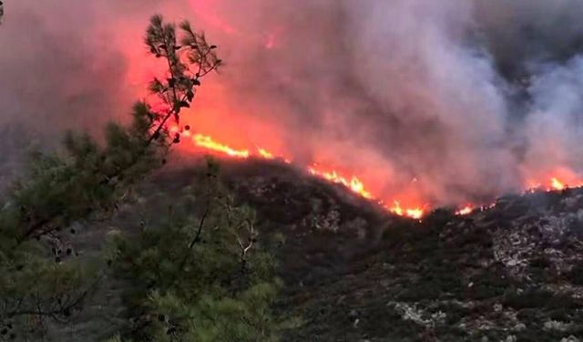 Kaş'ta orman yangınına havadan ve karadan müdahale