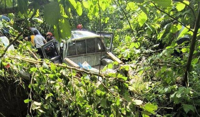 Trabzon'da kamyonet fındık bahçesine yuvarlandı: 1 ölü, 5 yaralı