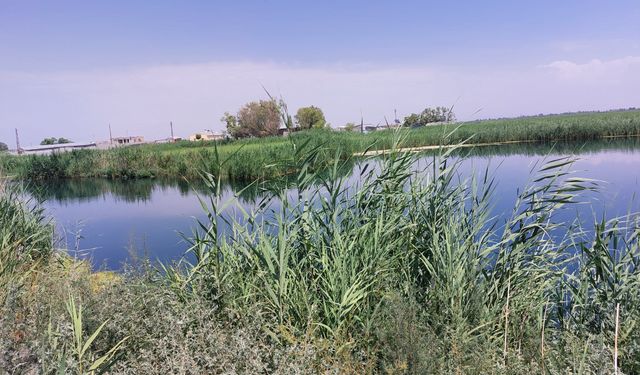 Şirin bir kent Iğdır