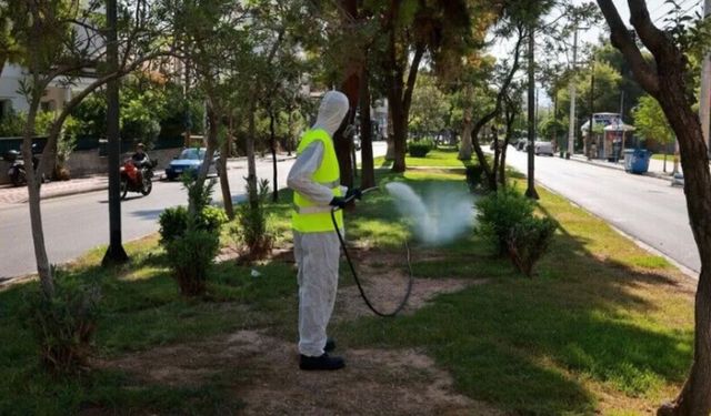 Batı Nil virüsünde tehlikeli tarih: Ağustos sonuna dikkat
