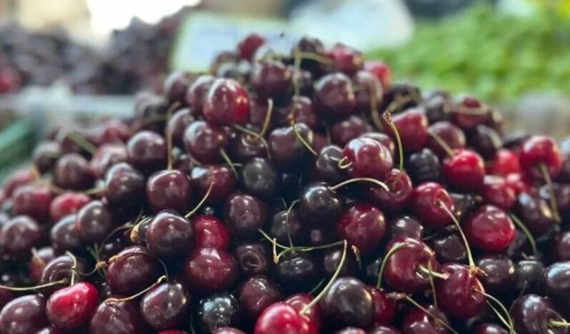 Yaş meyve ihracatında tarihi rekor