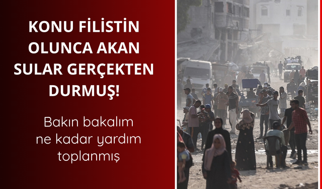 Filistin için toplanan yardım açıklandı
