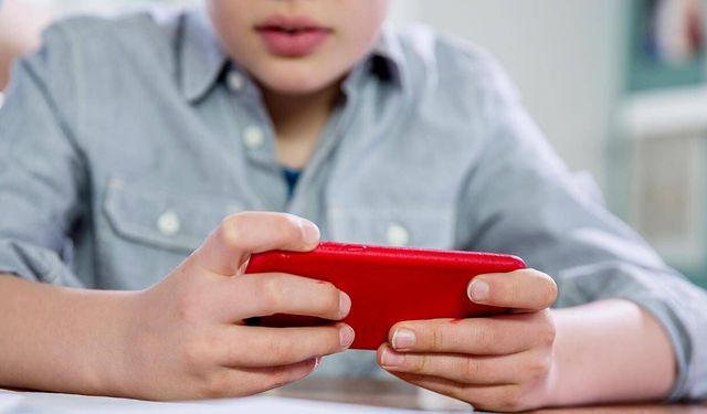 Polonya'da ilkokullarda telefon yasağı