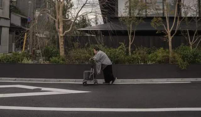 Japonya yaşlanıyor!