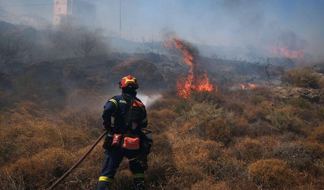 Yunanistan'da 8 bin dönüm alan yangında zarar gördü
