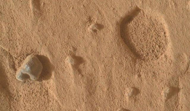Sahara Çölü'nde bulunan gül rengi göktaşı 4,1 milyar yıllık Mars parçası çıktı