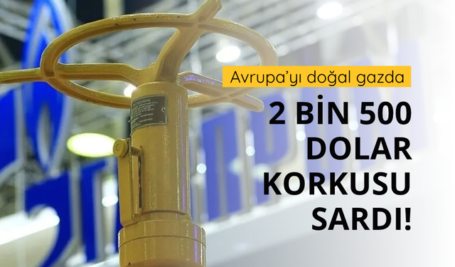 Gazprom'dan Avrupa'da doğal gaz için '2 bin 500 dolar' tahmini