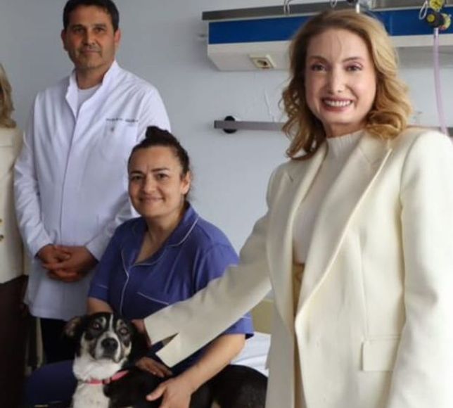 Hasta yatağına köpek sokan milletvekili