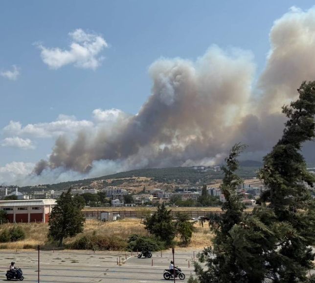 Çanakkale'de orman yangını: Havadan ve karadan müdahale sürüyor