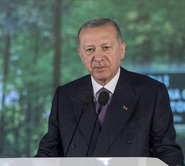 Başkan Erdoğan: Kazayı tüm yönleriyle araştırıyoruz