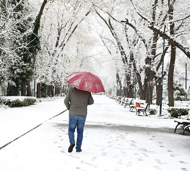Meteoroloji'den 31 il için sarı kodlu uyarı!