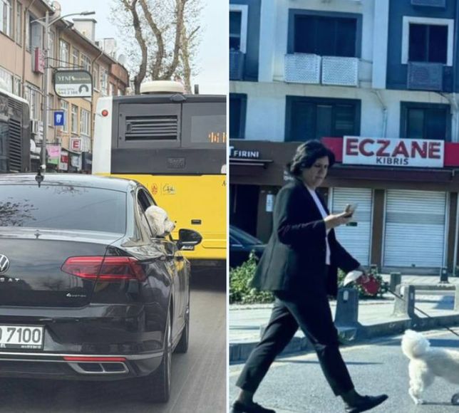 Üsküdar'da makam aracını köpeğe tahsis ettiler