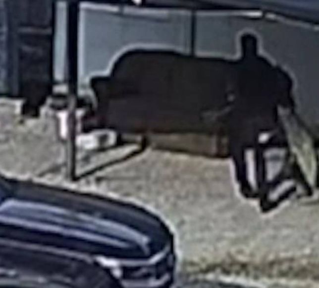 Beslediği köpek saldırdı