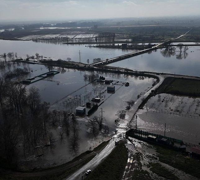 Meriç Nehri taştı! Tarım arazileri ve çiftlikler sular altında