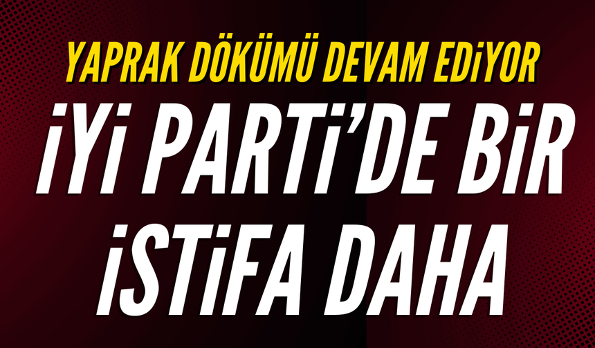 İyi Parti'de bir istifa daha!