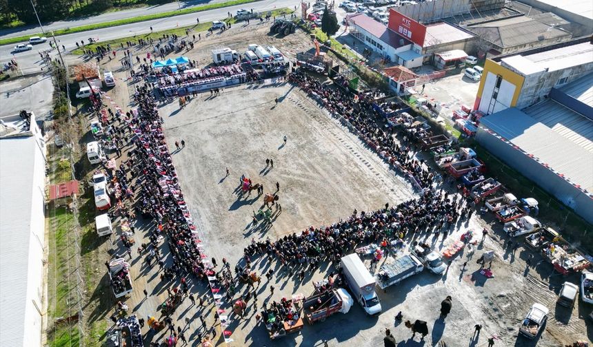 Aydın'ın Söke ilçesinde 10. Deve Güreşi Festivali düzenlendi