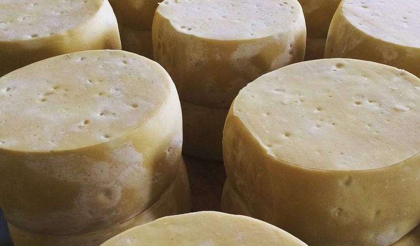 "Malkara eski kaşarı"nın AB coğrafi işaret tescili alması için başvuru yapılacak