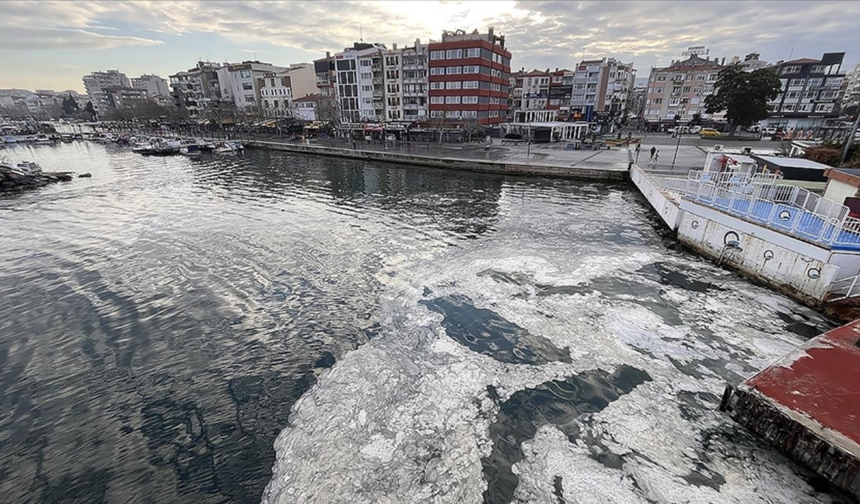 Çanakkale'de müsilaj alarmı!