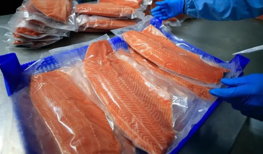 Doğu Karadeniz'in 11 aylık Türk somonu ihracatı 164 milyon doları aştı
