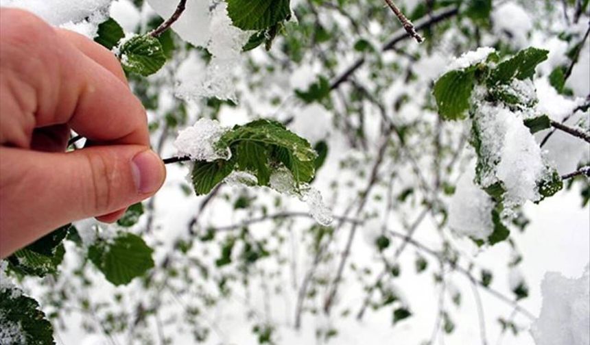 Malatya'da zirai don uyarısı