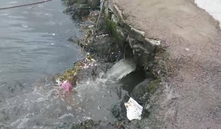 Çınarcık Belediyesi'ne 1,3 milyon lira 'çevre' cezası