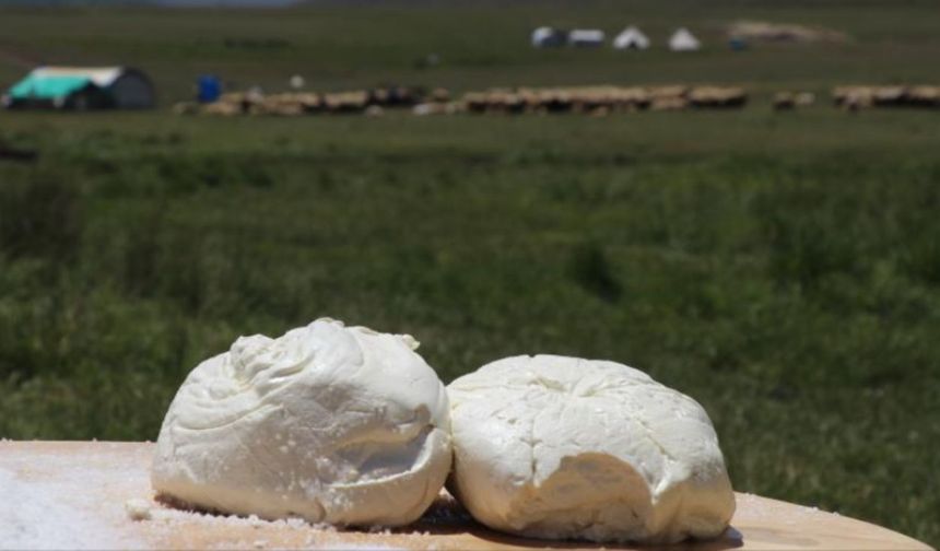 Erzincan tulum peynirine AB tescili