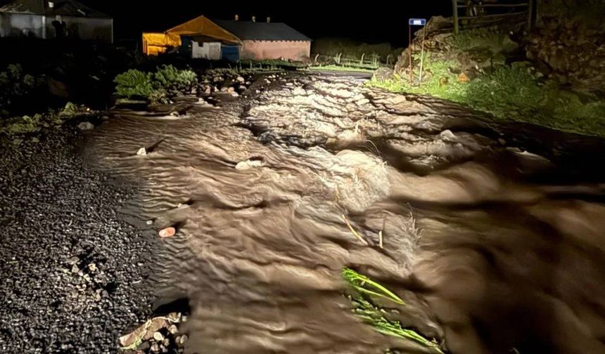 Ardahan'da sel 2 köyde hasara neden oldu