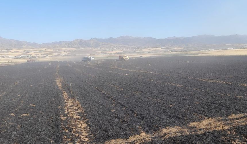 Elazığ'da 50 dönüm buğday ve arpa ekili alan yandı