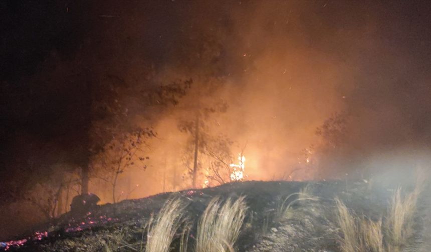 Osmaniye'de çıkan orman yangını kontrol altına alındı
