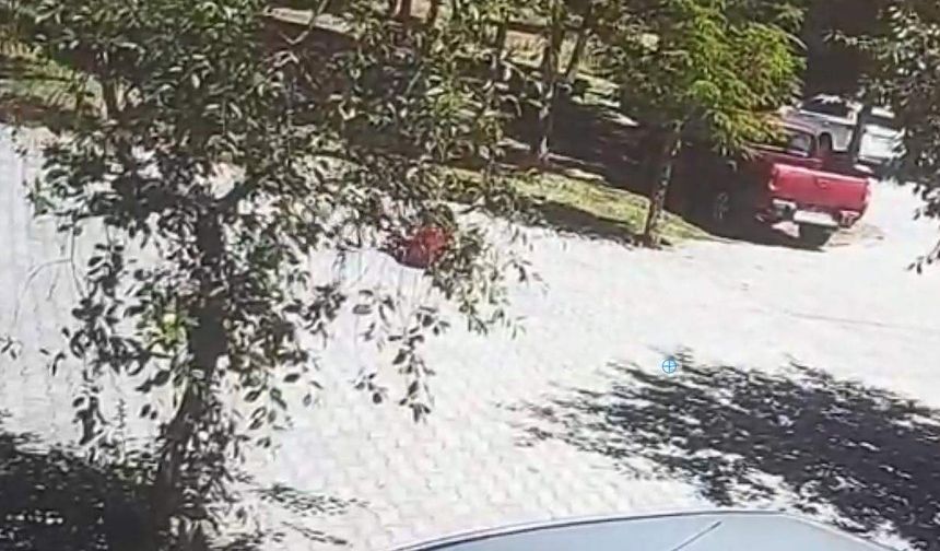 Köpekler çocuğa saldırdı vatandaşın müdahalesi facianın önüne geçti